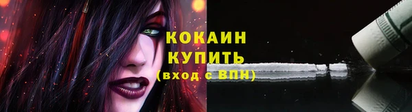 дживик Абаза