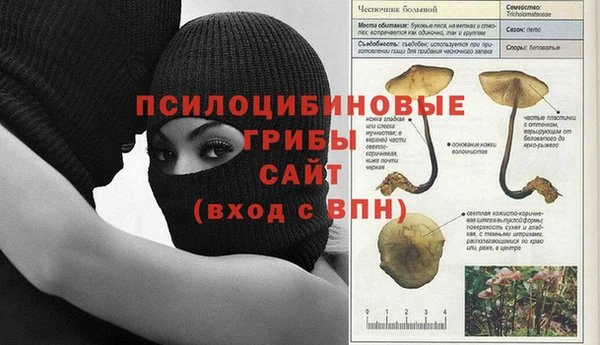 дживик Абаза