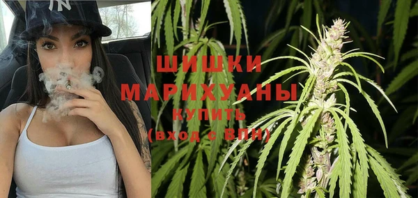 дживик Абаза